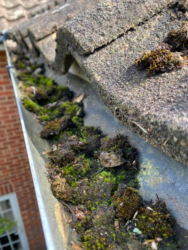 An image of a residential gutter full of moss
