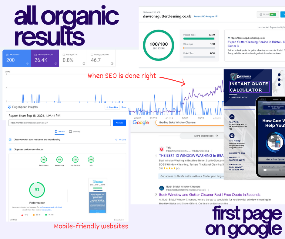An image of all organic results from Zingoe Media